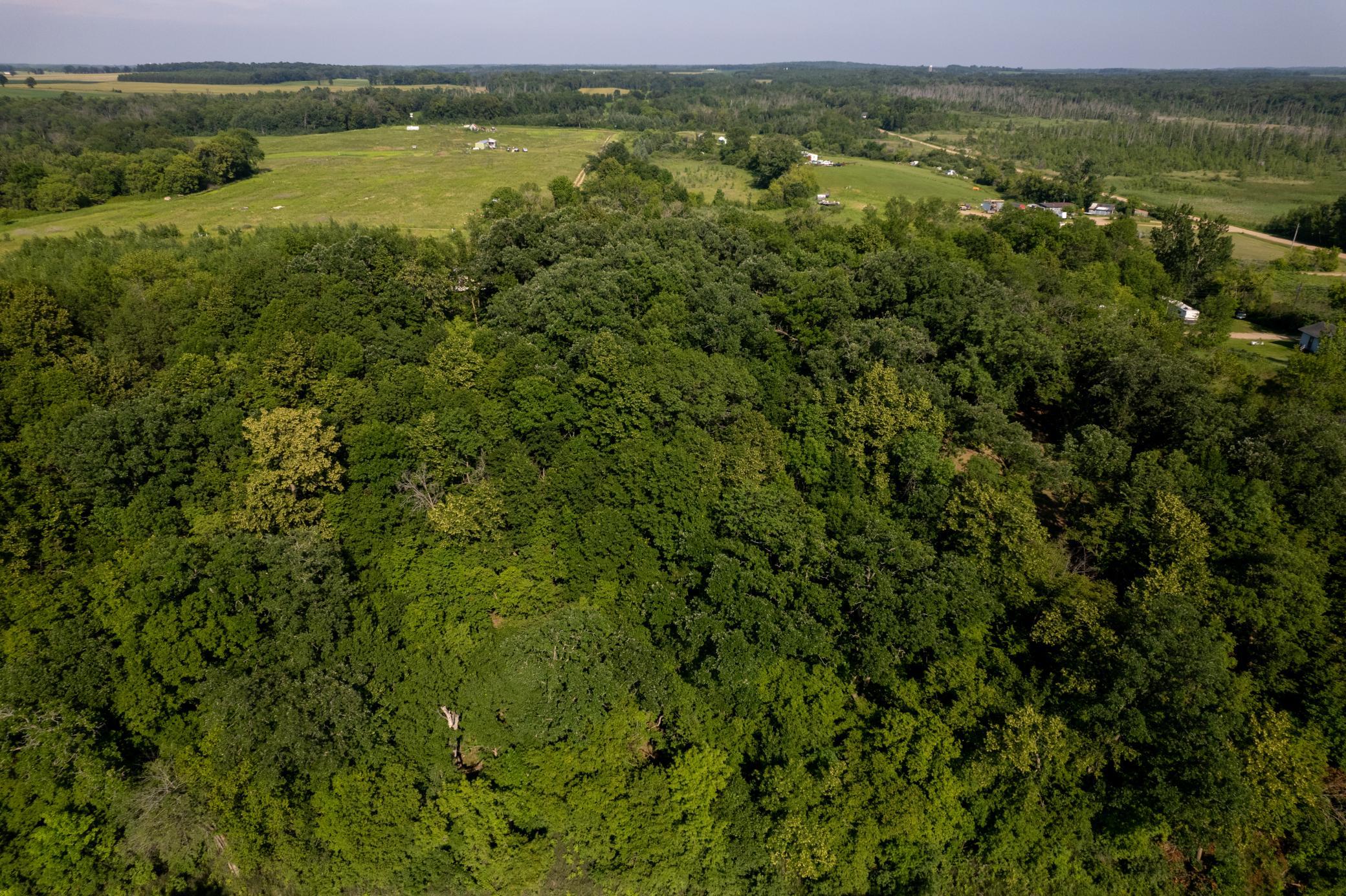 land for sale at 49137 360th Street in New York Mills, MN (photo 25 of 33)