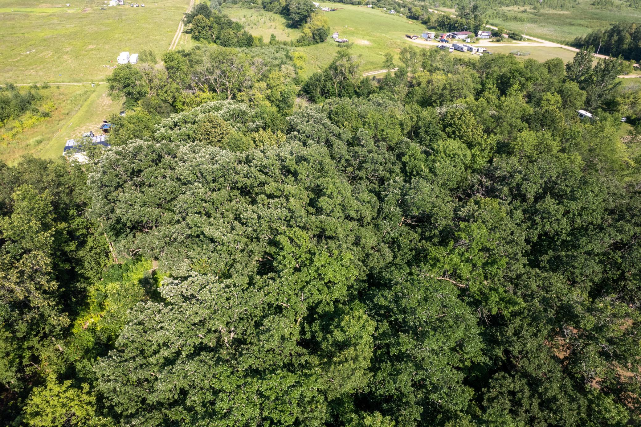 land for sale at 49137 360th Street in New York Mills, MN (photo 30 of 33)