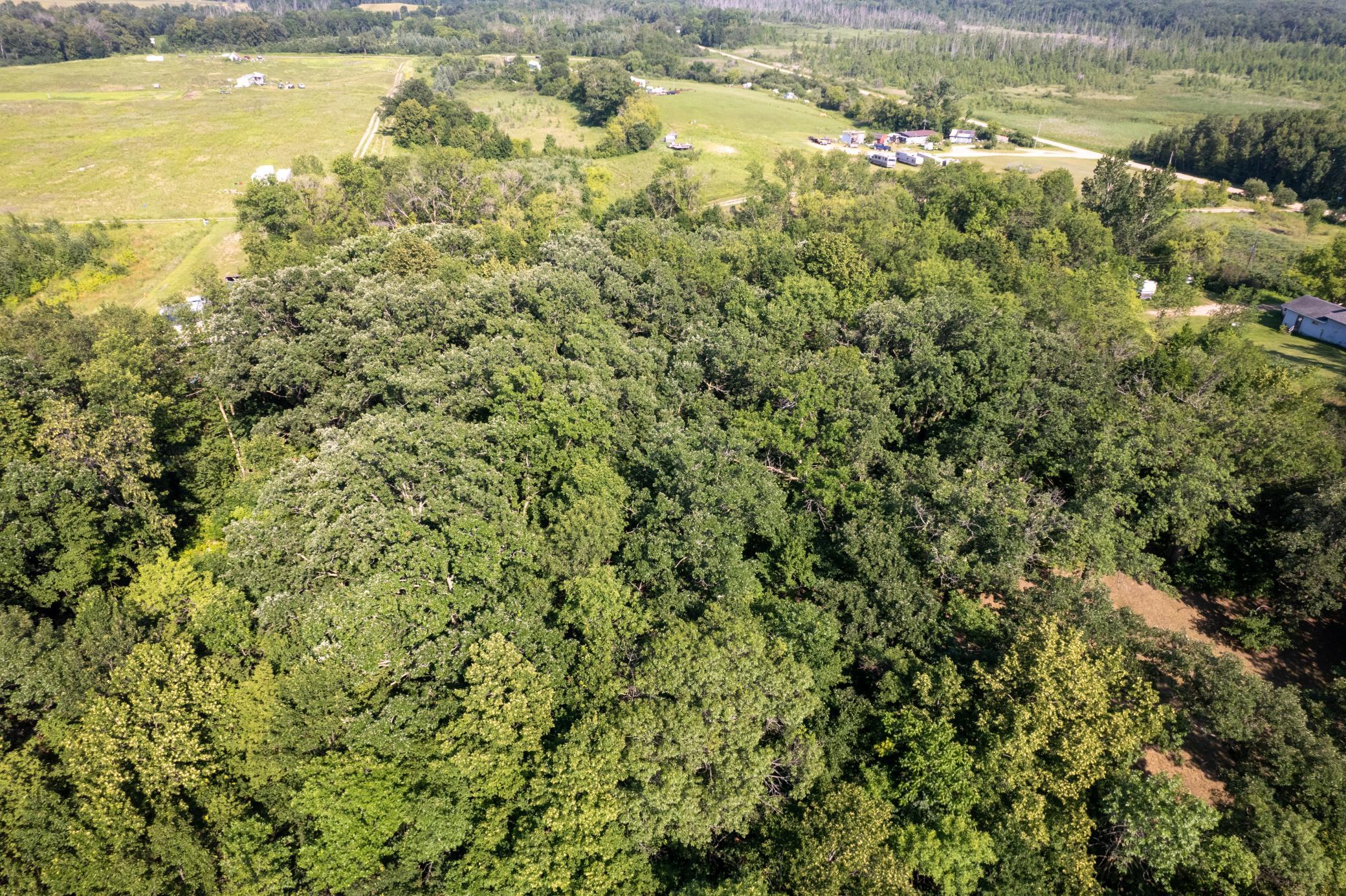 land for sale at 49137 360th Street in New York Mills, MN (photo 31 of 33)