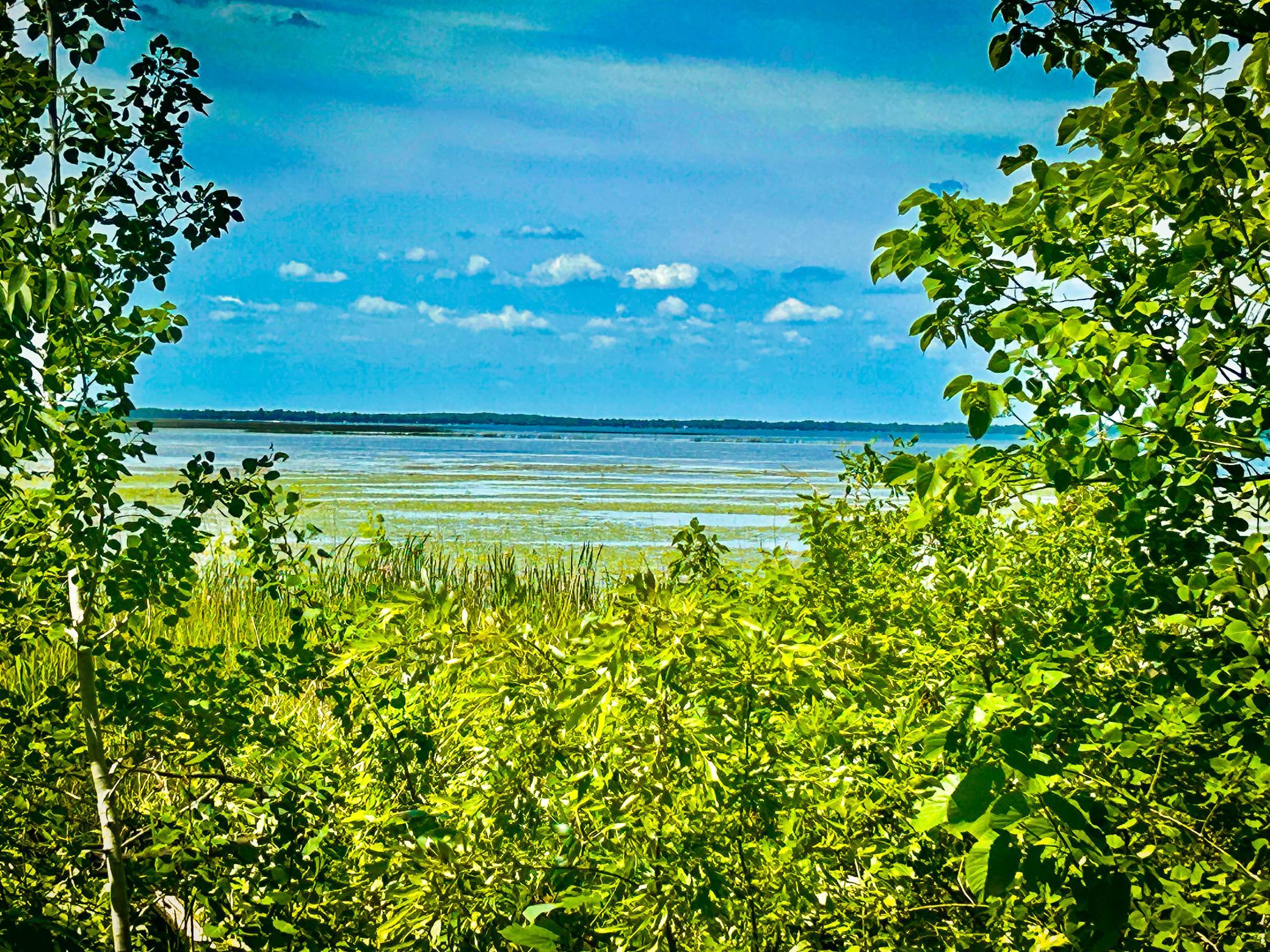 land for sale at 49137 360th Street in New York Mills, MN (photo 5 of 33)
