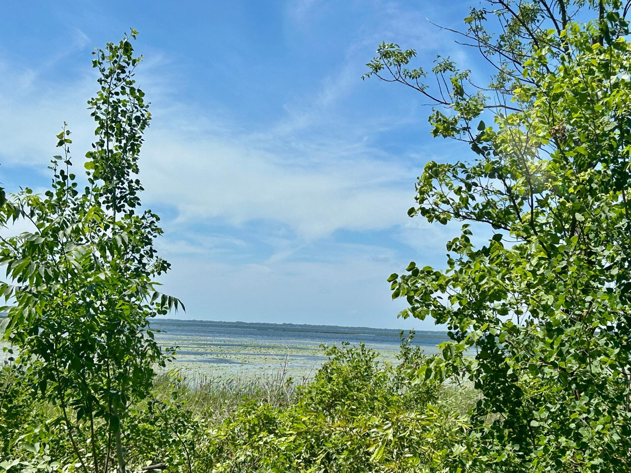 land for sale at 49137 360th Street in New York Mills, MN (photo 6 of 33)