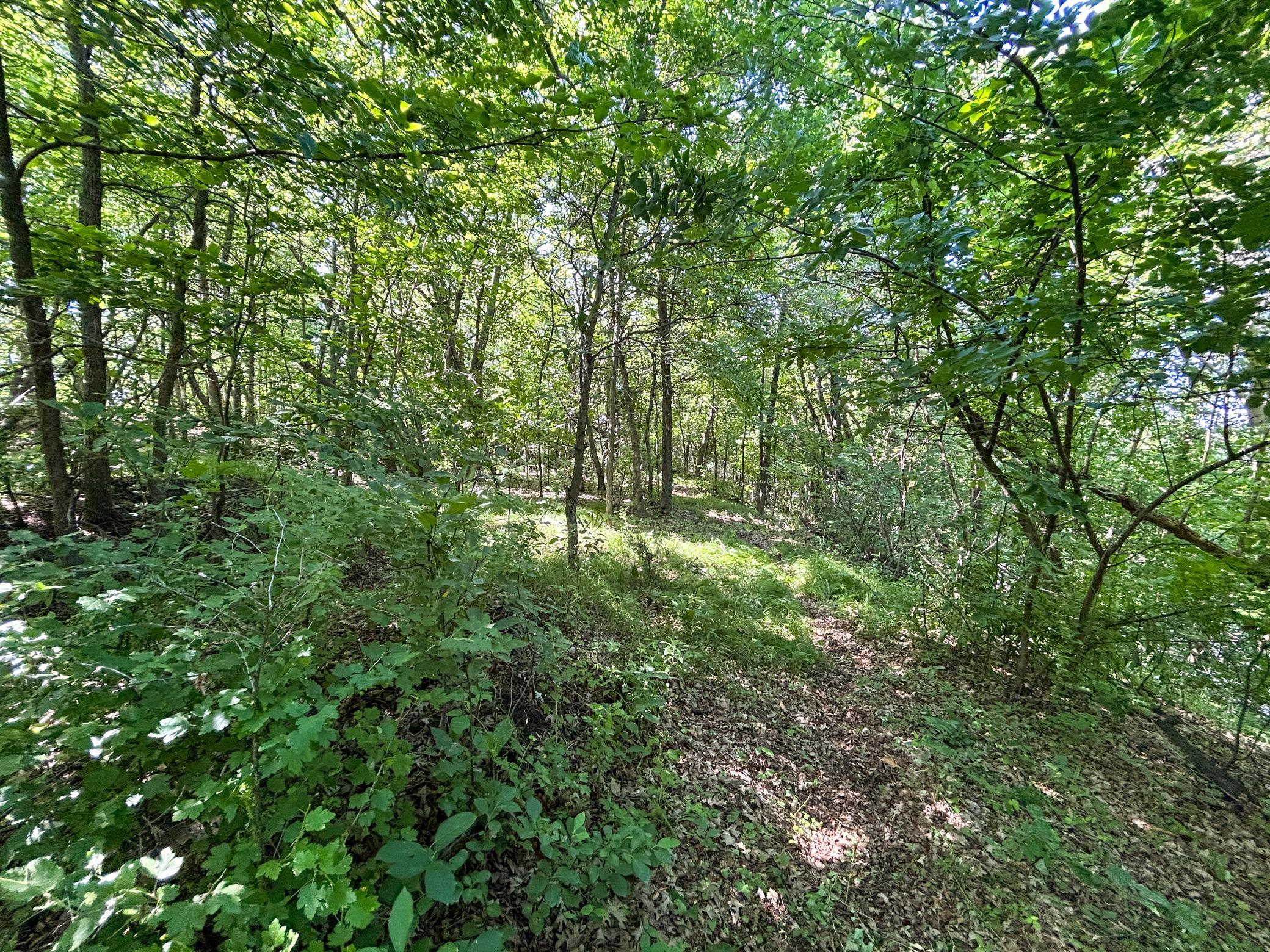 land for sale at 49137 360th Street in New York Mills, MN (photo 8 of 33)