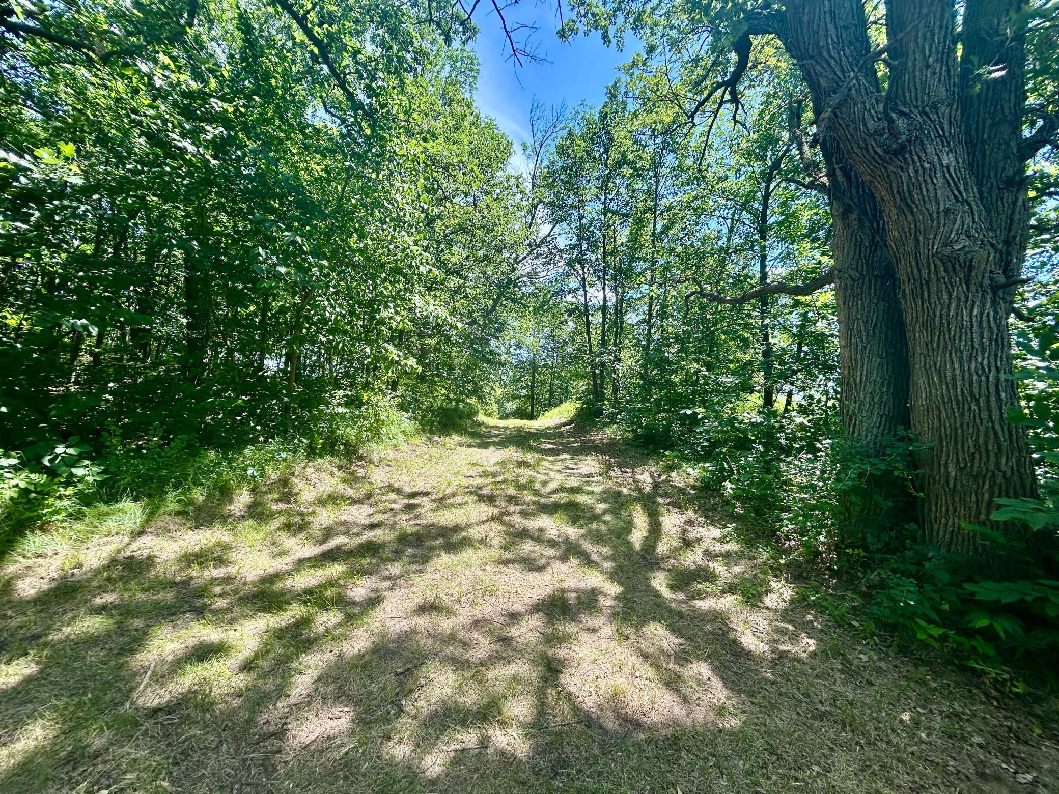 land for sale at 49137 360th Street in New York Mills, MN (photo 10 of 33)