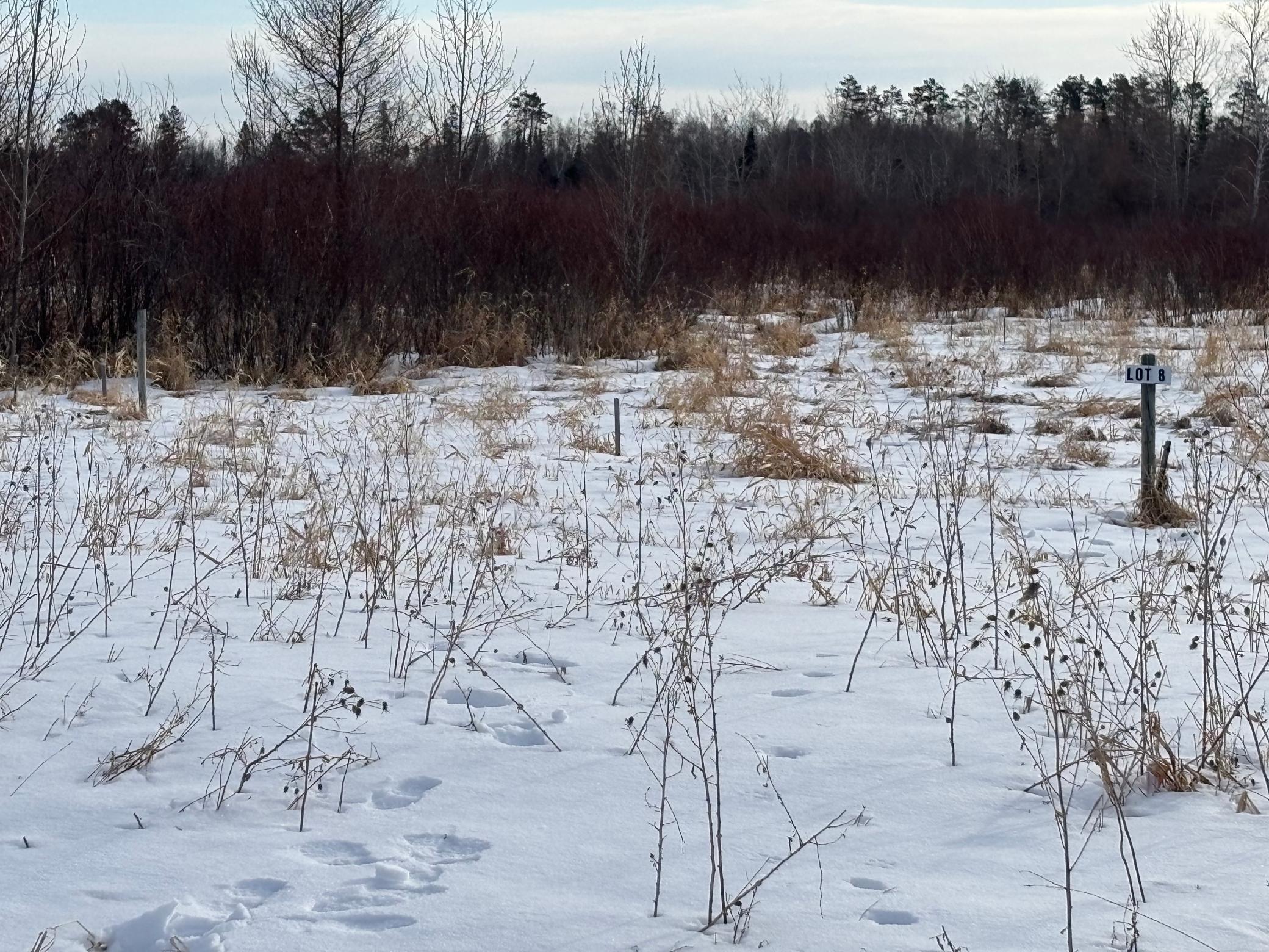 Lot 8 Irvine Avenue NW, Bemidji MN 56601 - Photo 2 of 3