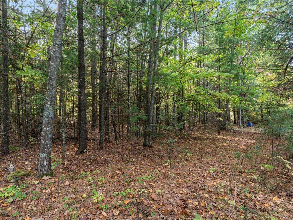 land for sale at LOT A State Hwy 18 in Brainerd, MN (photo 7 of 16)