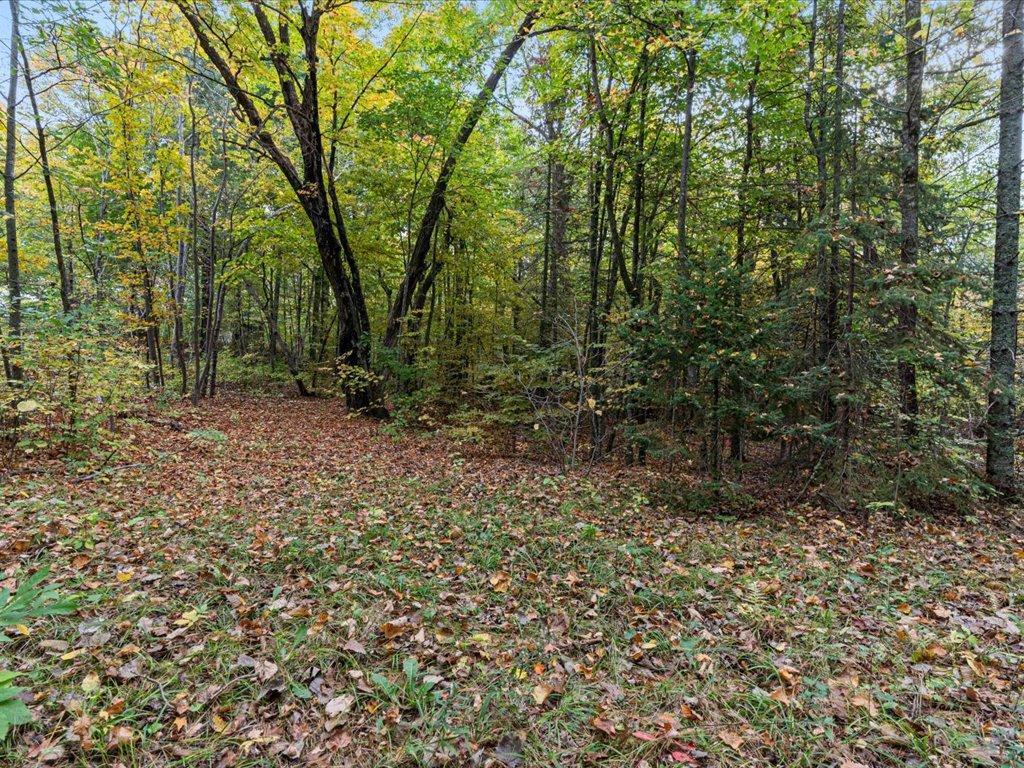 land for sale at LOT A State Hwy 18 in Brainerd, MN (photo 8 of 16)