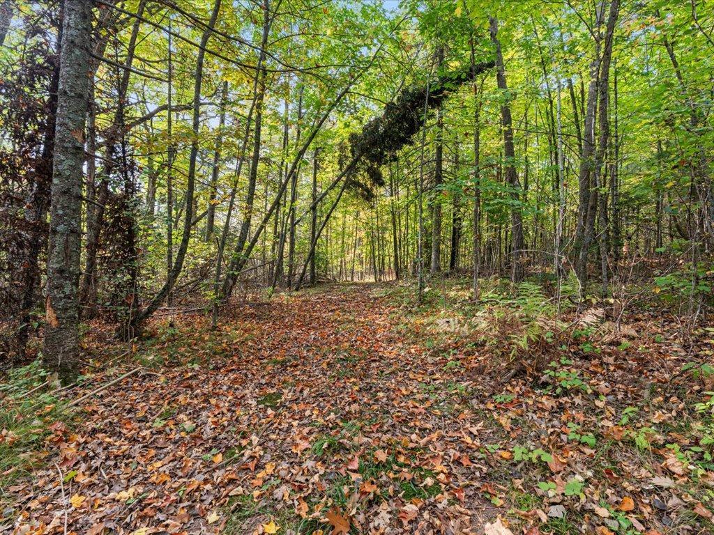 land for sale at LOT A State Hwy 18 in Brainerd, MN (photo 9 of 16)