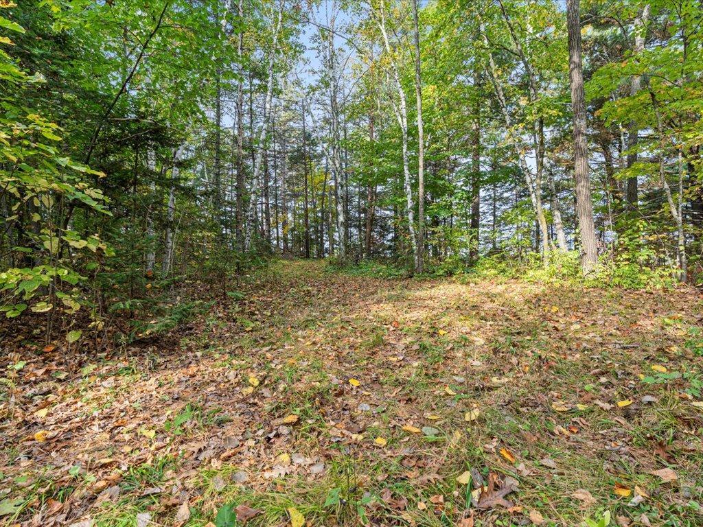 land for sale at LOT A State Hwy 18 in Brainerd, MN (photo 10 of 16)