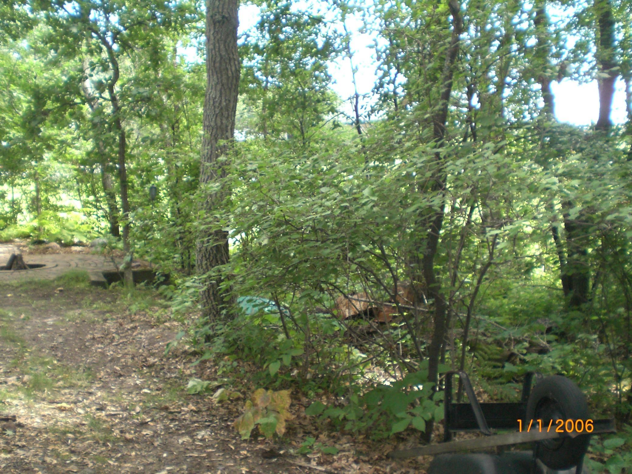 land for sale at 30208 Whitebirch Way in Pequot Lakes, MN (photo 40 of 52)