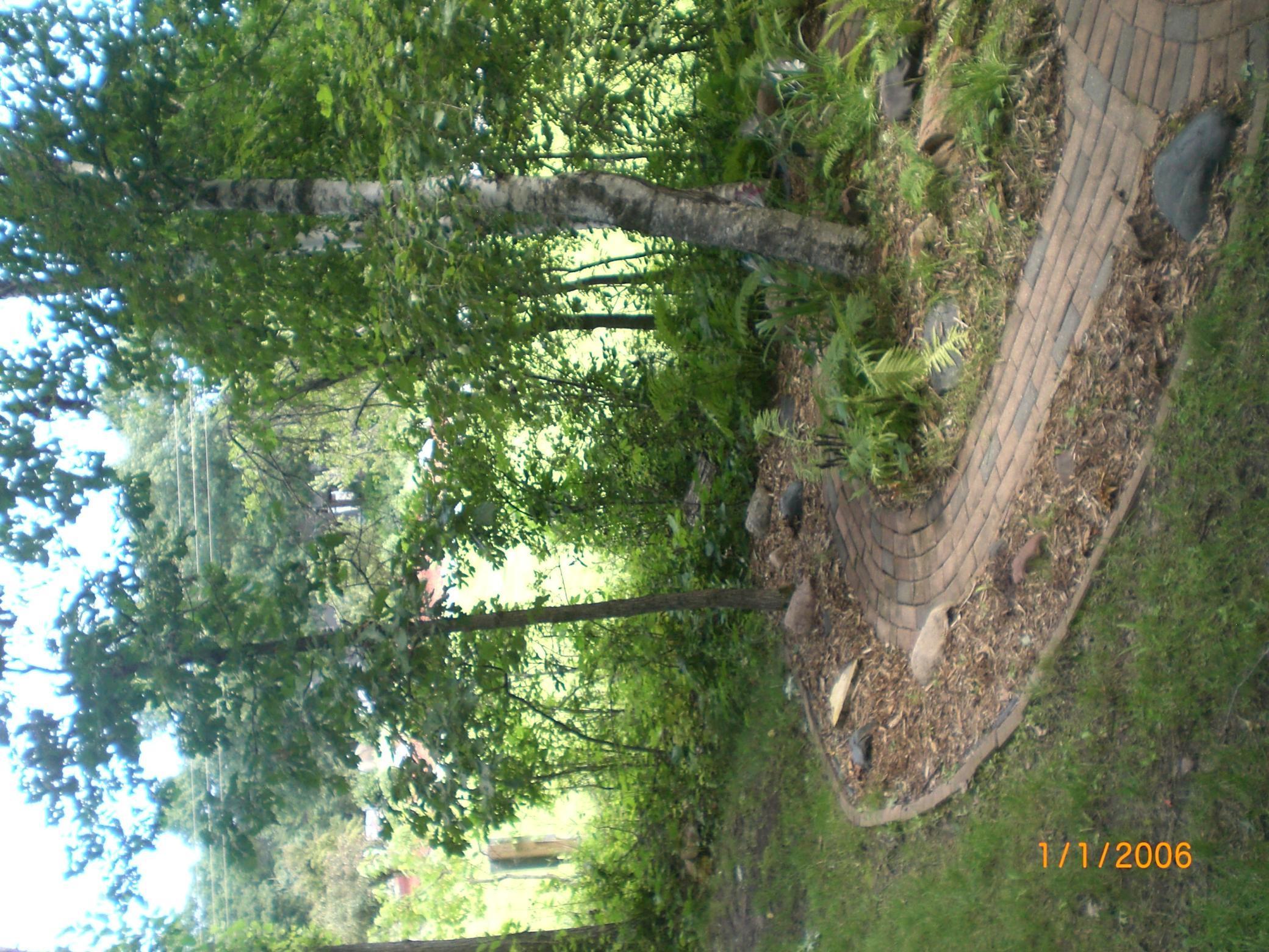 land for sale at 30208 Whitebirch Way in Pequot Lakes, MN (photo 47 of 52)