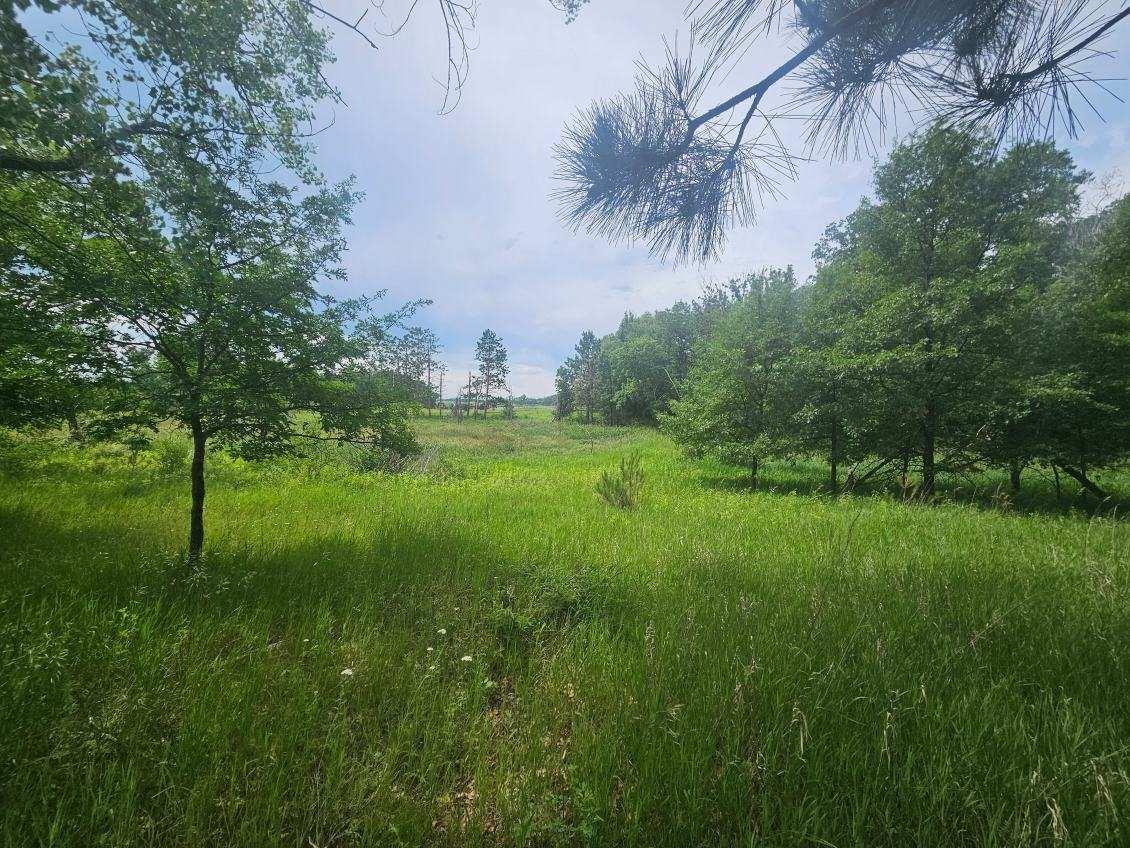 land for sale at 44985 400th Avenue in Perham, MN (photo 11 of 11)