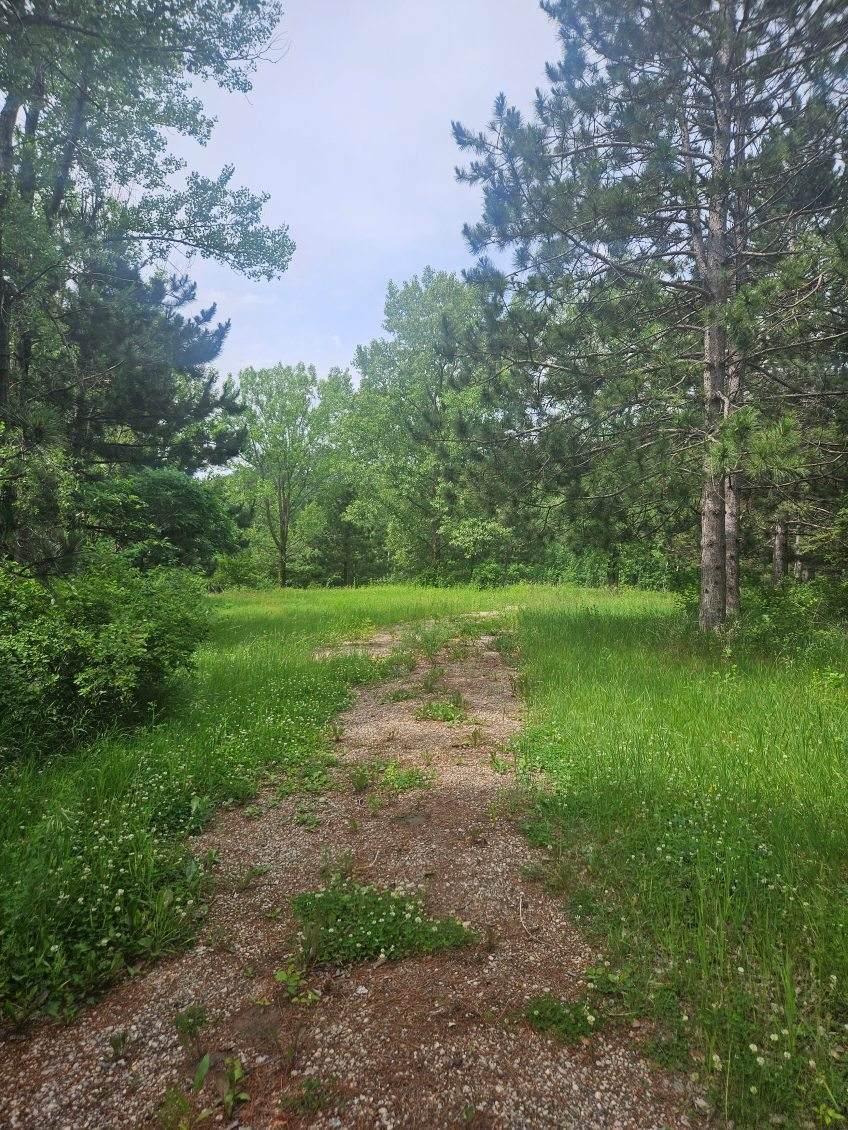 land for sale at 44985 400th Avenue in Perham, MN (photo 3 of 11)