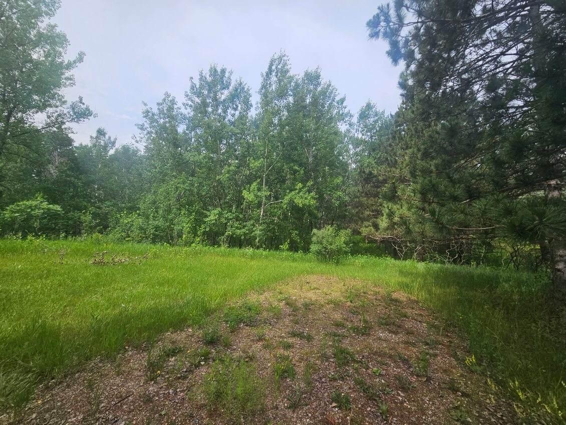 land for sale at 44985 400th Avenue in Perham, MN (photo 4 of 11)