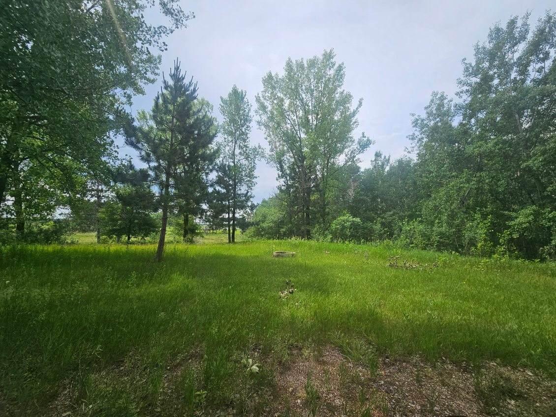 land for sale at 44985 400th Avenue in Perham, MN (photo 6 of 11)