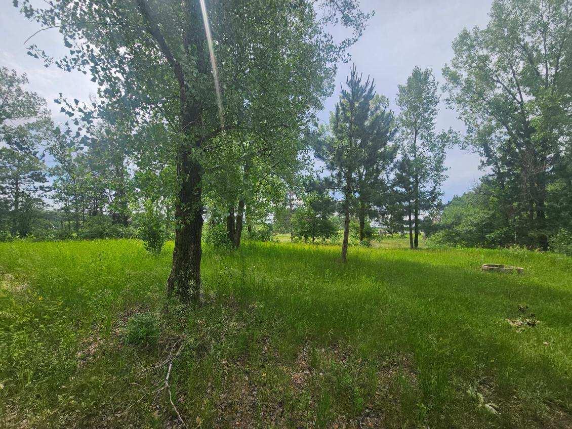 land for sale at 44985 400th Avenue in Perham, MN (photo 7 of 11)