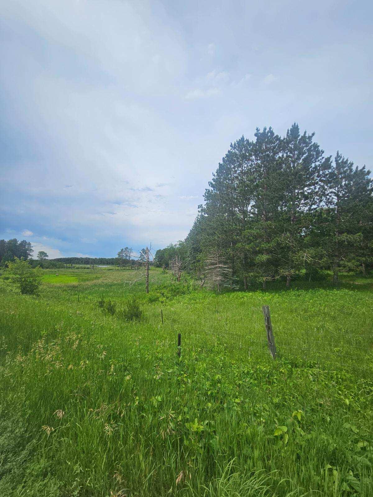 land for sale at 44985 400th Avenue in Perham, MN (photo 8 of 11)