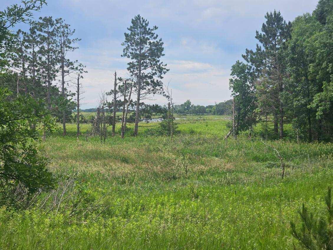 land for sale at 44985 400th Avenue in Perham, MN (photo 9 of 11)