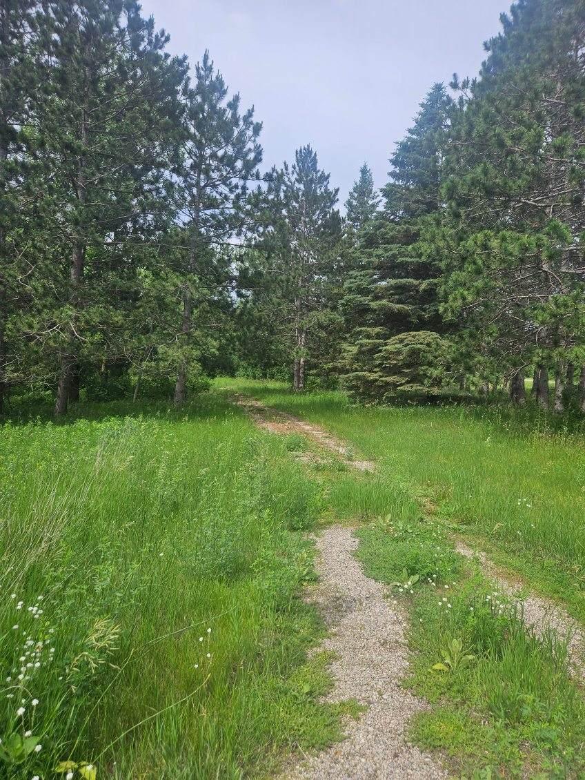 land for sale at 44985 400th Avenue in Perham, MN (photo 10 of 11)