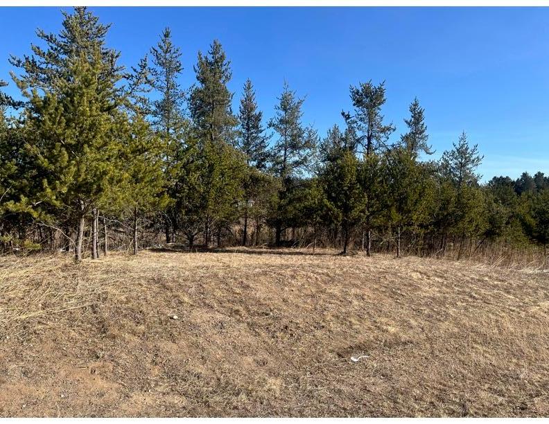 2026 single family home for sale at TBD 1st Avenue in Breezy Point, MN — 3 bed, 2 bath (photo 2 of 31)