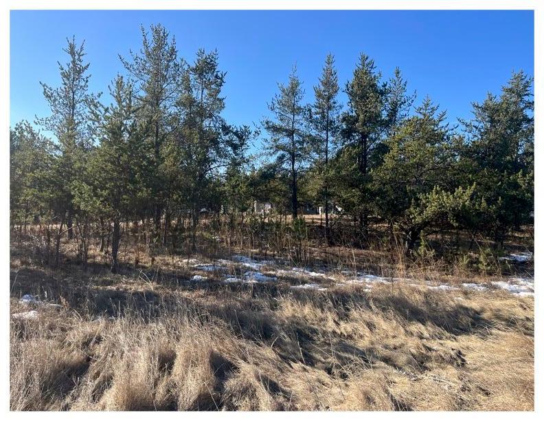 2026 single family home for sale at TBD 1st Avenue in Breezy Point, MN — 3 bed, 2 bath (photo 27 of 31)
