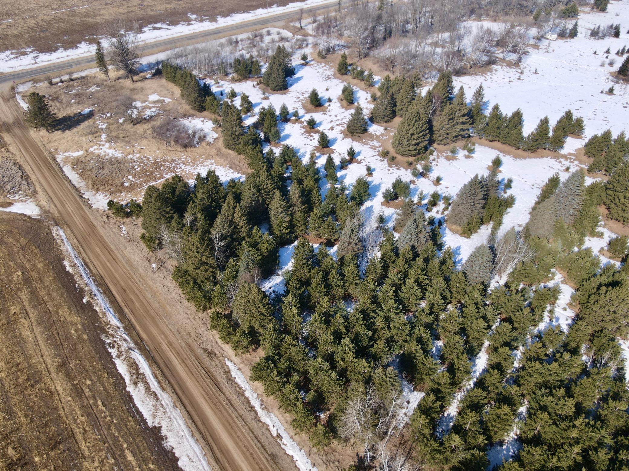 59527 235th Street, Hewitt MN 56453 - Photo 4 of 6