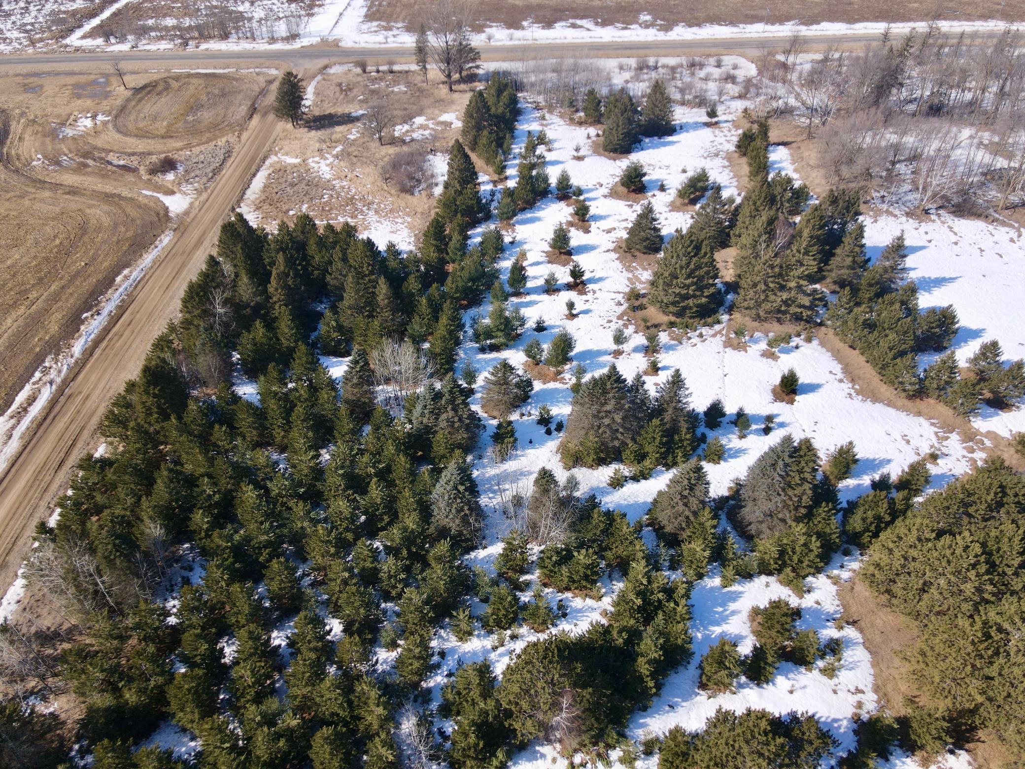 59527 235th Street, Hewitt MN 56453 - Photo 5 of 6