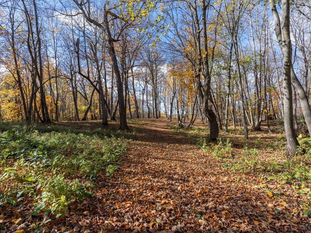 land for sale at 11095 Ottertail Point Drive NW in Cass Lake, MN (photo 5 of 17)