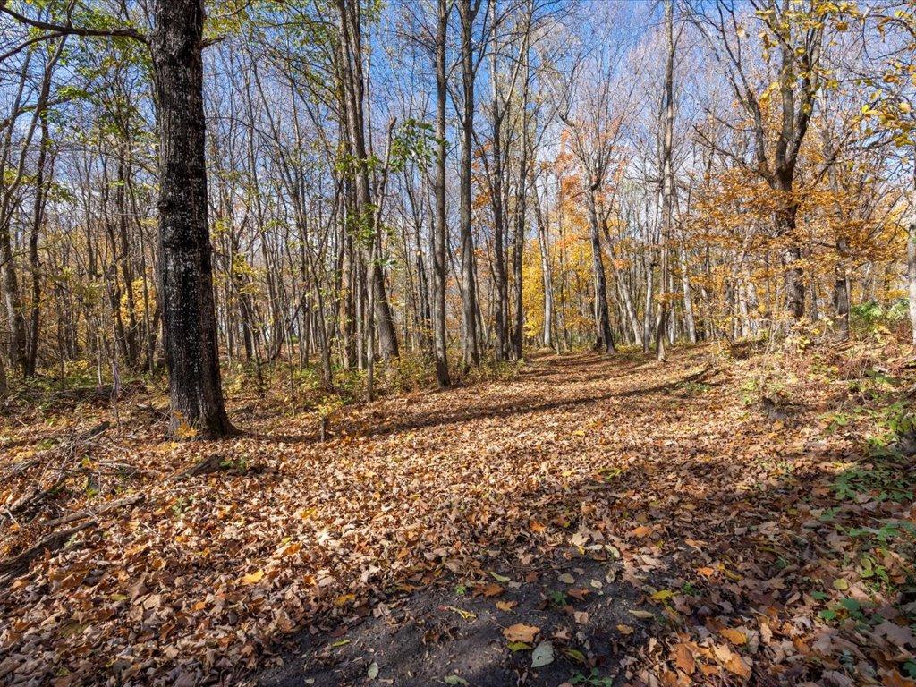 land for sale at 11095 Ottertail Point Drive NW in Cass Lake, MN (photo 6 of 17)