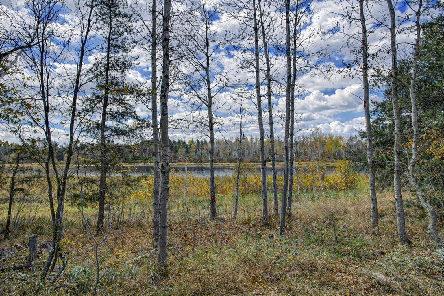 2022 single family home for sale at 10675 County 41 in Park Rapids, MN — 3 bed, 2 bath (photo 40 of 41)