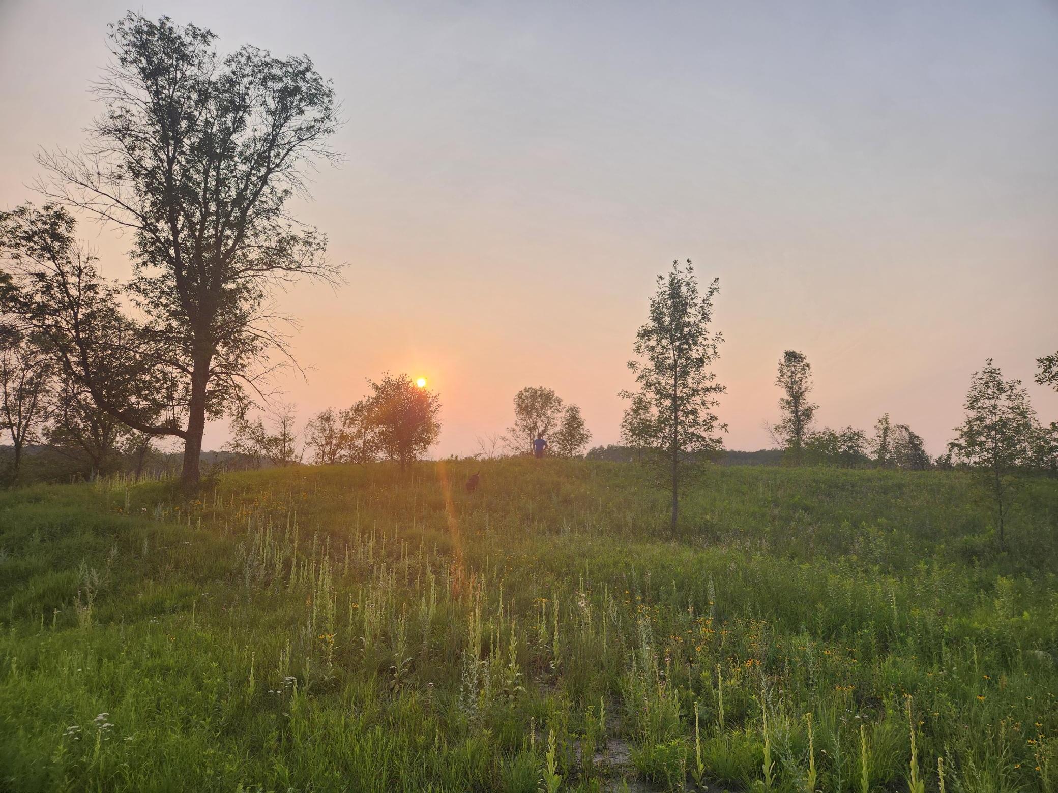 land for sale at 24793 Franklin Lake Road in Pelican Rapids, MN (photo 2 of 60)