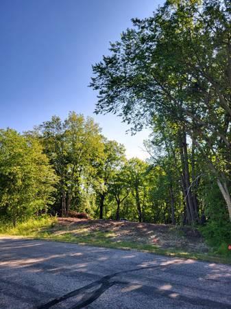 land for sale at 24793 Franklin Lake Road in Pelican Rapids, MN (photo 12 of 60)