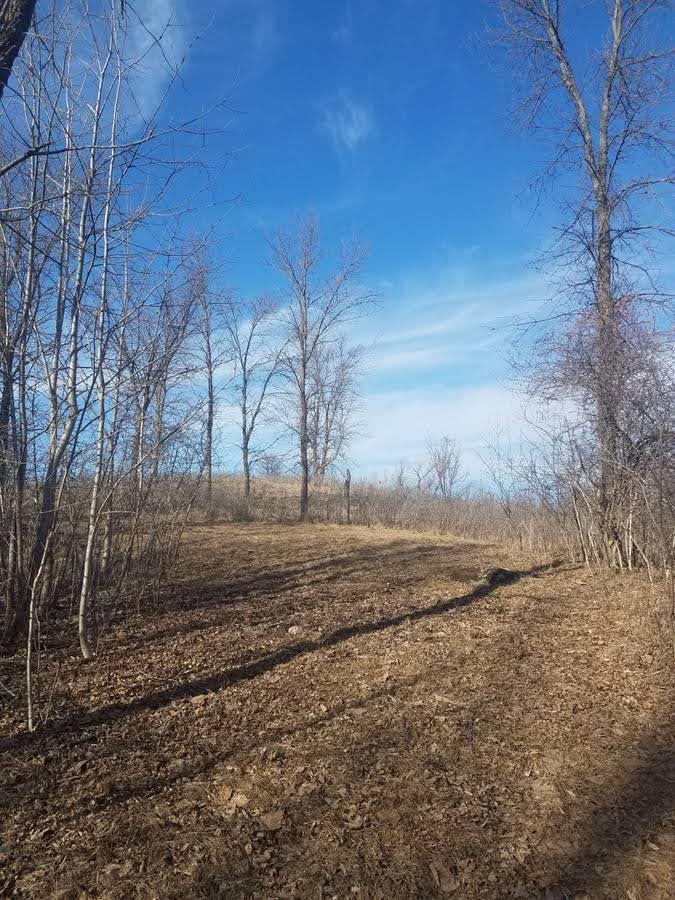 land for sale at 24793 Franklin Lake Road in Pelican Rapids, MN (photo 14 of 60)