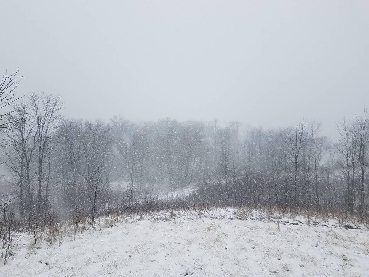land for sale at 24793 Franklin Lake Road in Pelican Rapids, MN (photo 15 of 60)