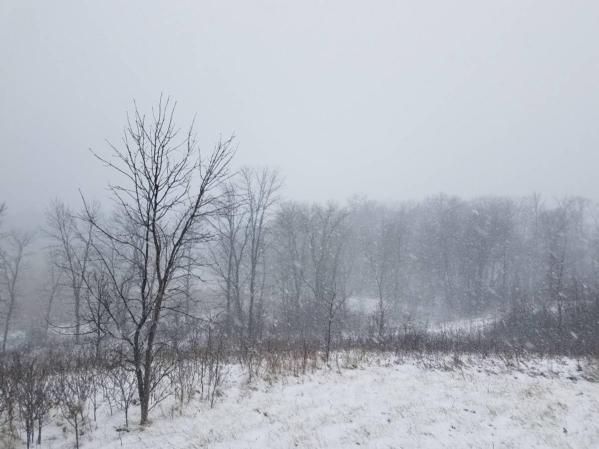 land for sale at 24793 Franklin Lake Road in Pelican Rapids, MN (photo 16 of 60)