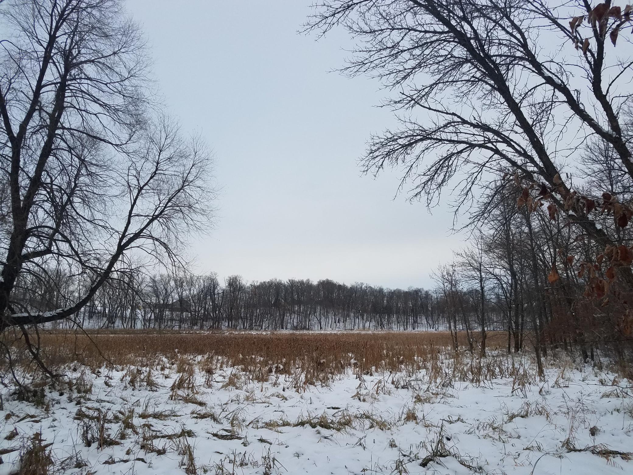 land for sale at 24793 Franklin Lake Road in Pelican Rapids, MN (photo 17 of 60)
