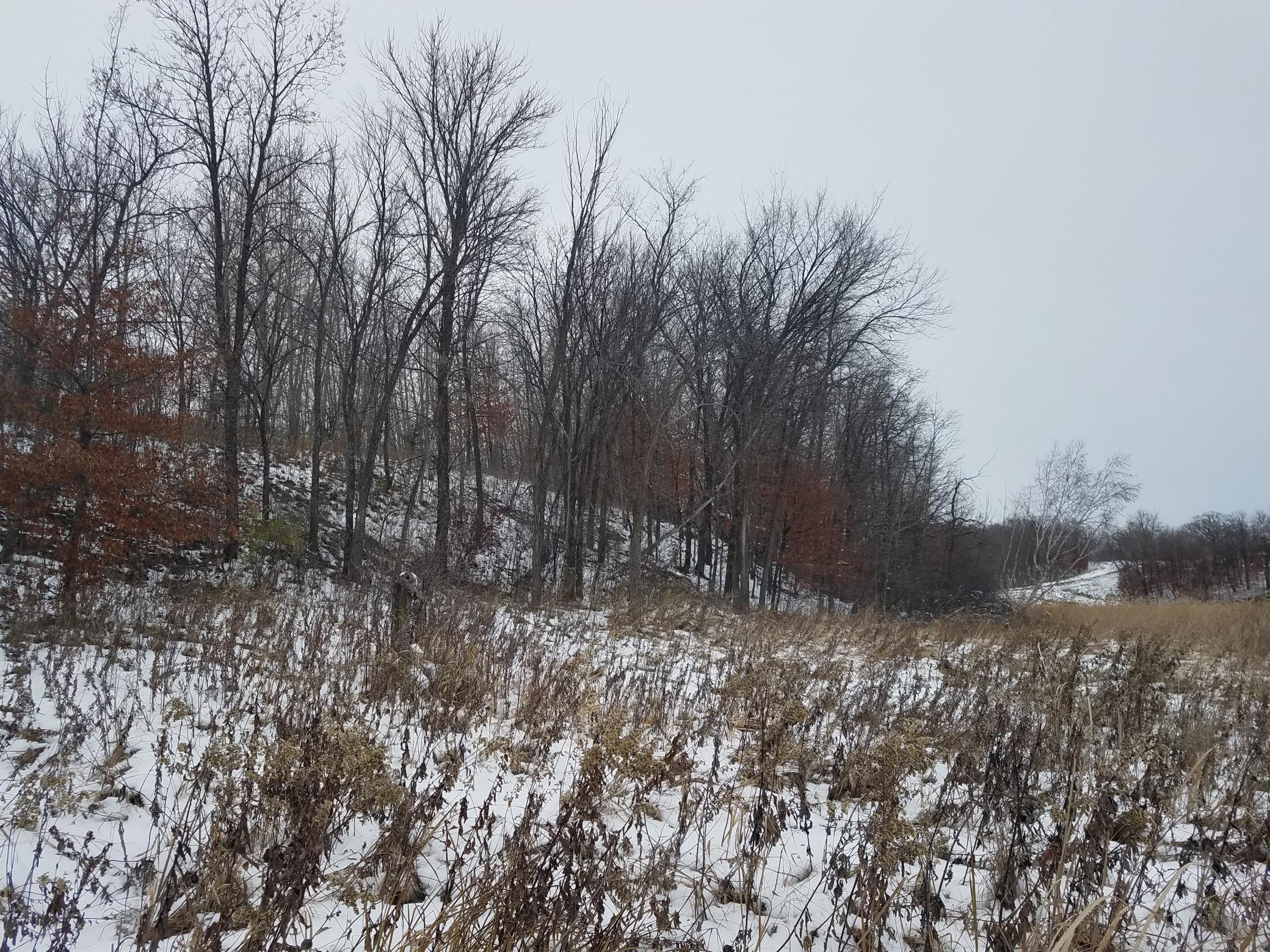 land for sale at 24793 Franklin Lake Road in Pelican Rapids, MN (photo 18 of 60)