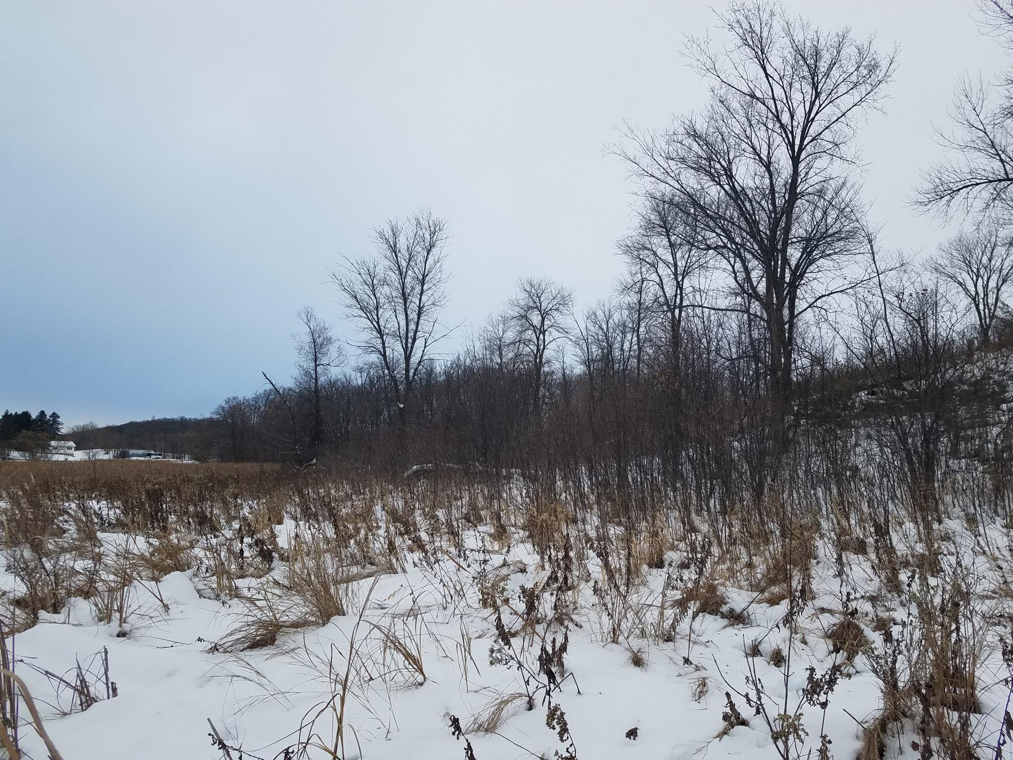 land for sale at 24793 Franklin Lake Road in Pelican Rapids, MN (photo 19 of 60)