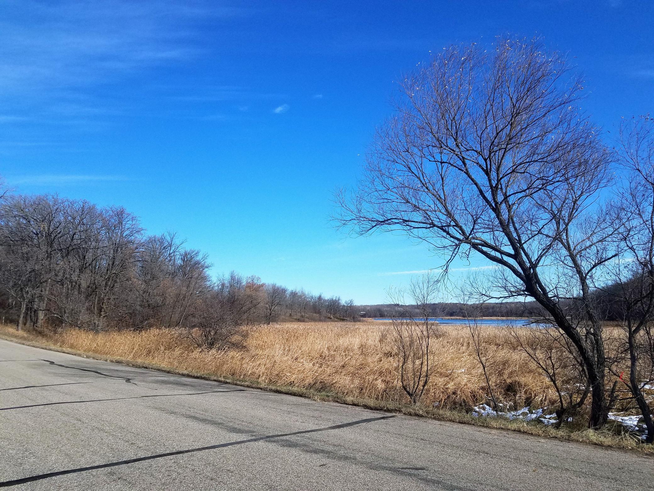 land for sale at 24793 Franklin Lake Road in Pelican Rapids, MN (photo 20 of 60)