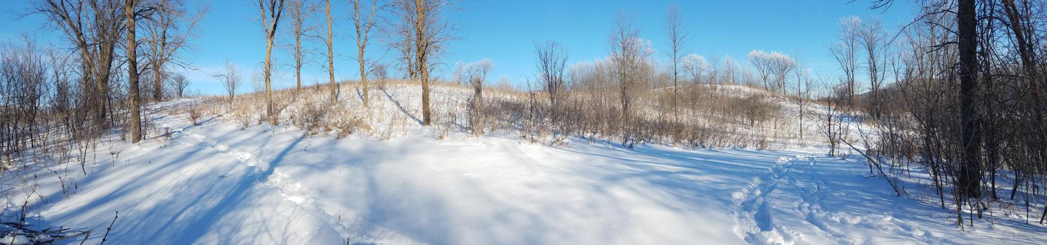 land for sale at 24793 Franklin Lake Road in Pelican Rapids, MN (photo 21 of 60)