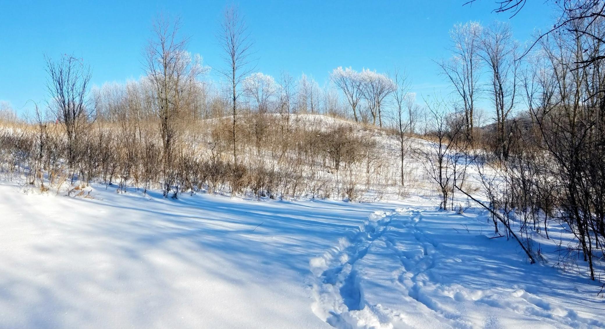 land for sale at 24793 Franklin Lake Road in Pelican Rapids, MN (photo 22 of 60)