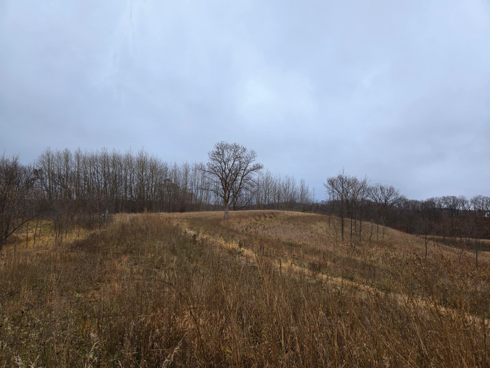 land for sale at 24793 Franklin Lake Road in Pelican Rapids, MN (photo 30 of 60)