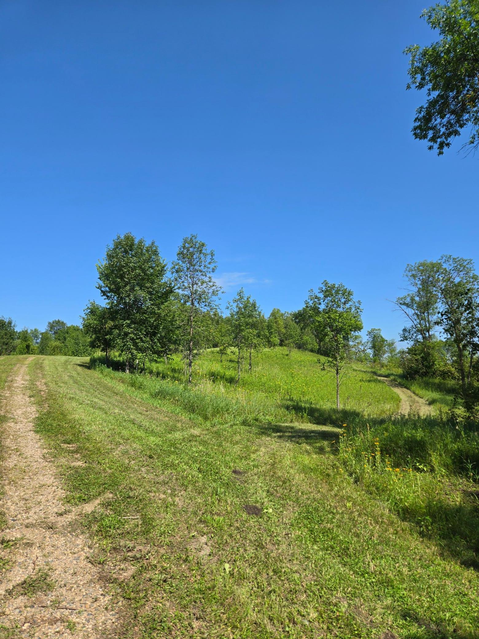 land for sale at 24793 Franklin Lake Road in Pelican Rapids, MN (photo 32 of 60)