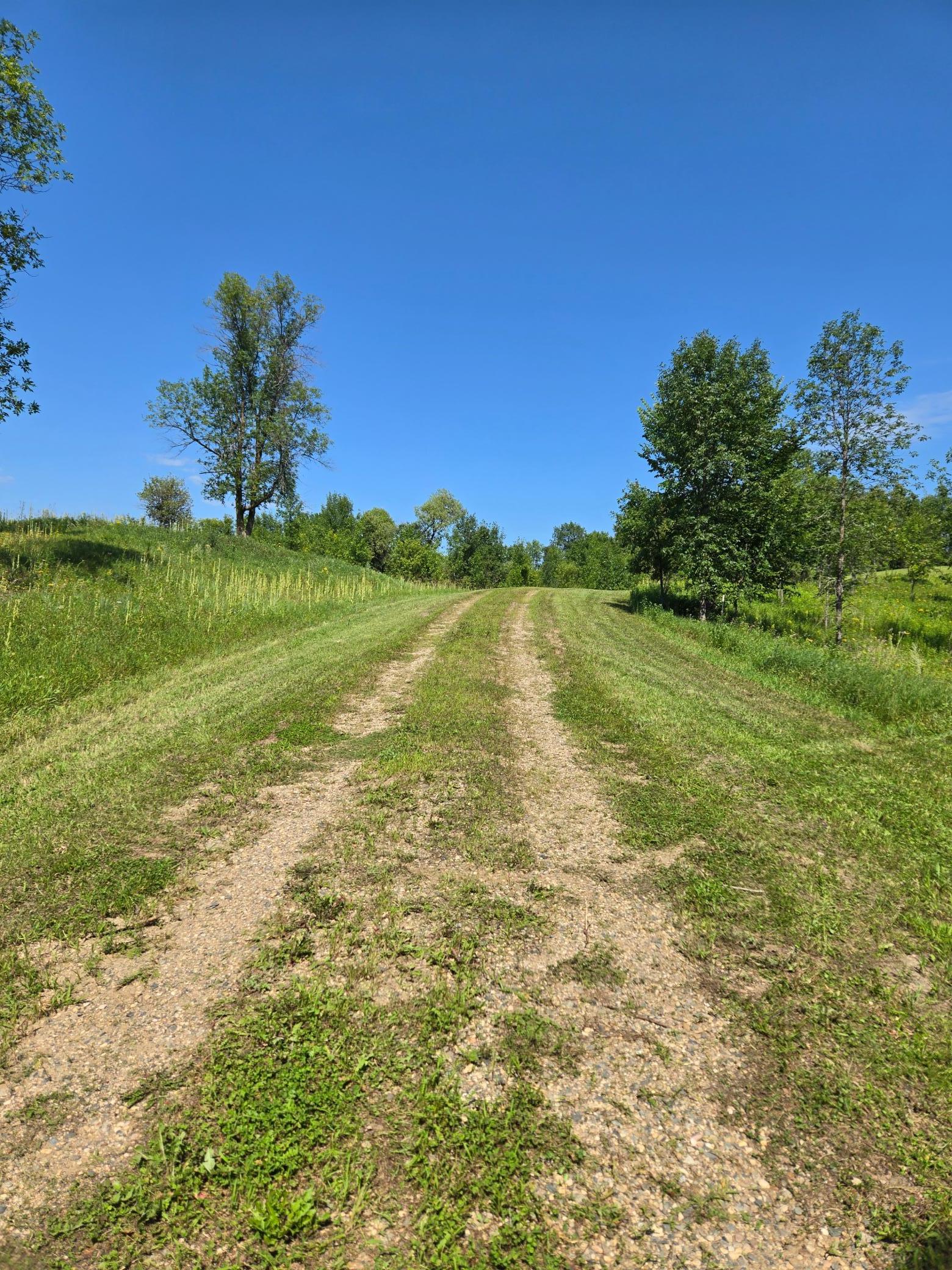 land for sale at 24793 Franklin Lake Road in Pelican Rapids, MN (photo 33 of 60)