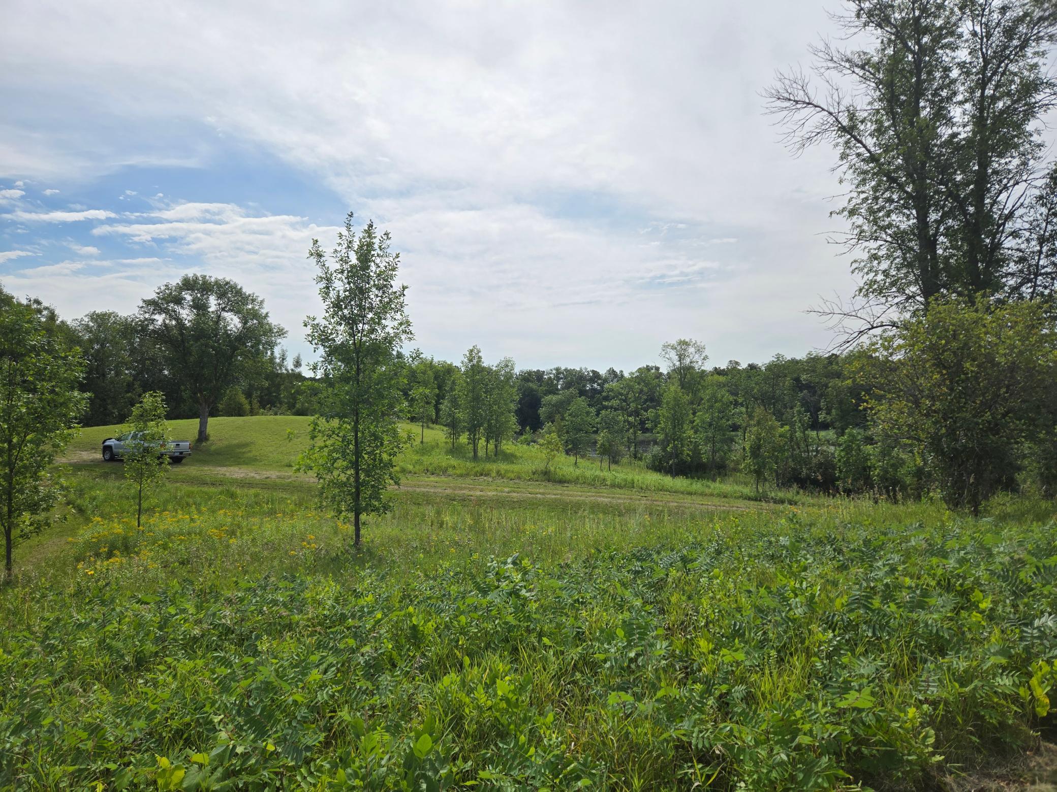 land for sale at 24793 Franklin Lake Road in Pelican Rapids, MN (photo 36 of 60)