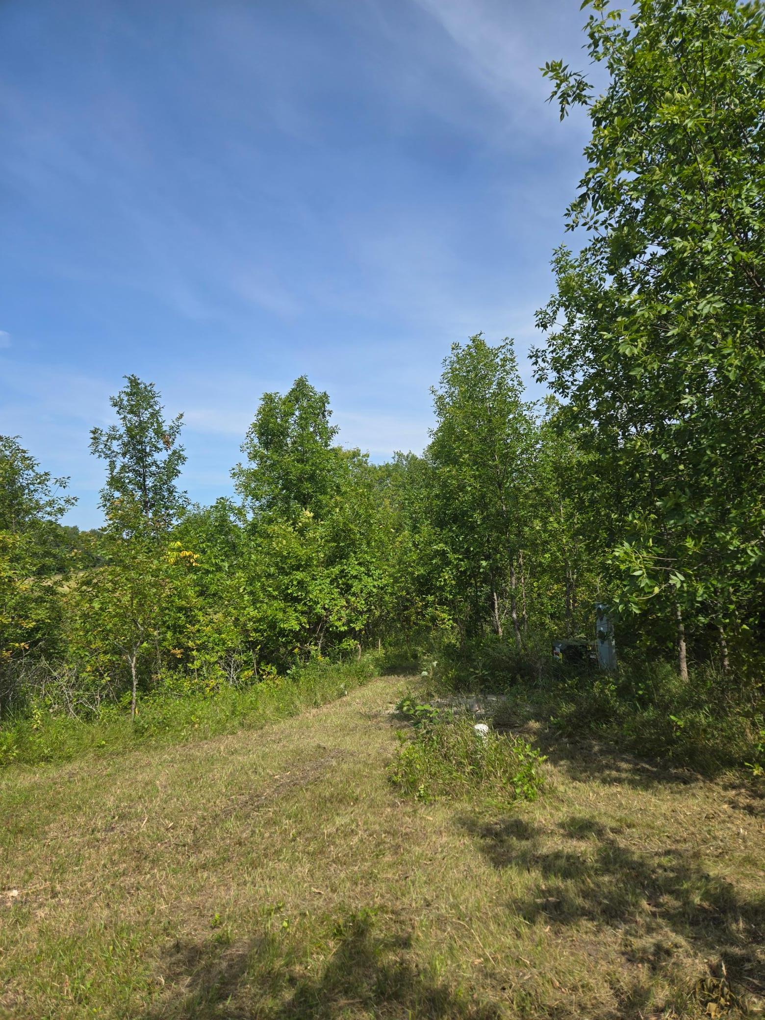 land for sale at 24793 Franklin Lake Road in Pelican Rapids, MN (photo 39 of 60)