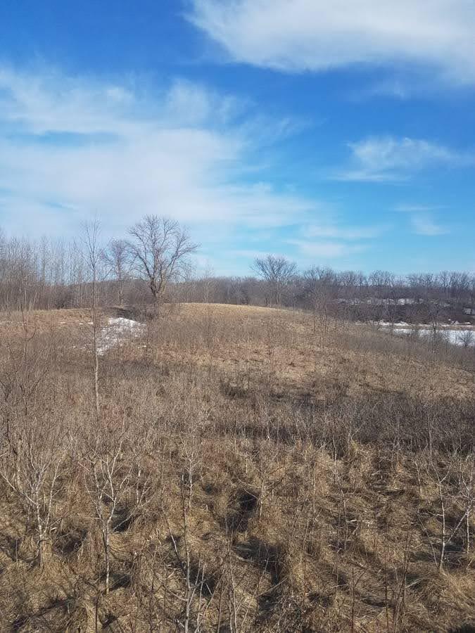 land for sale at 24793 Franklin Lake Road in Pelican Rapids, MN (photo 7 of 60)