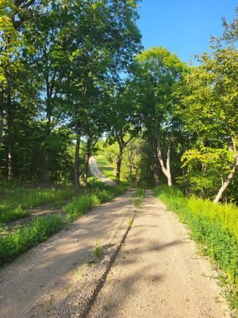 land for sale at 24793 Franklin Lake Road in Pelican Rapids, MN (photo 9 of 60)