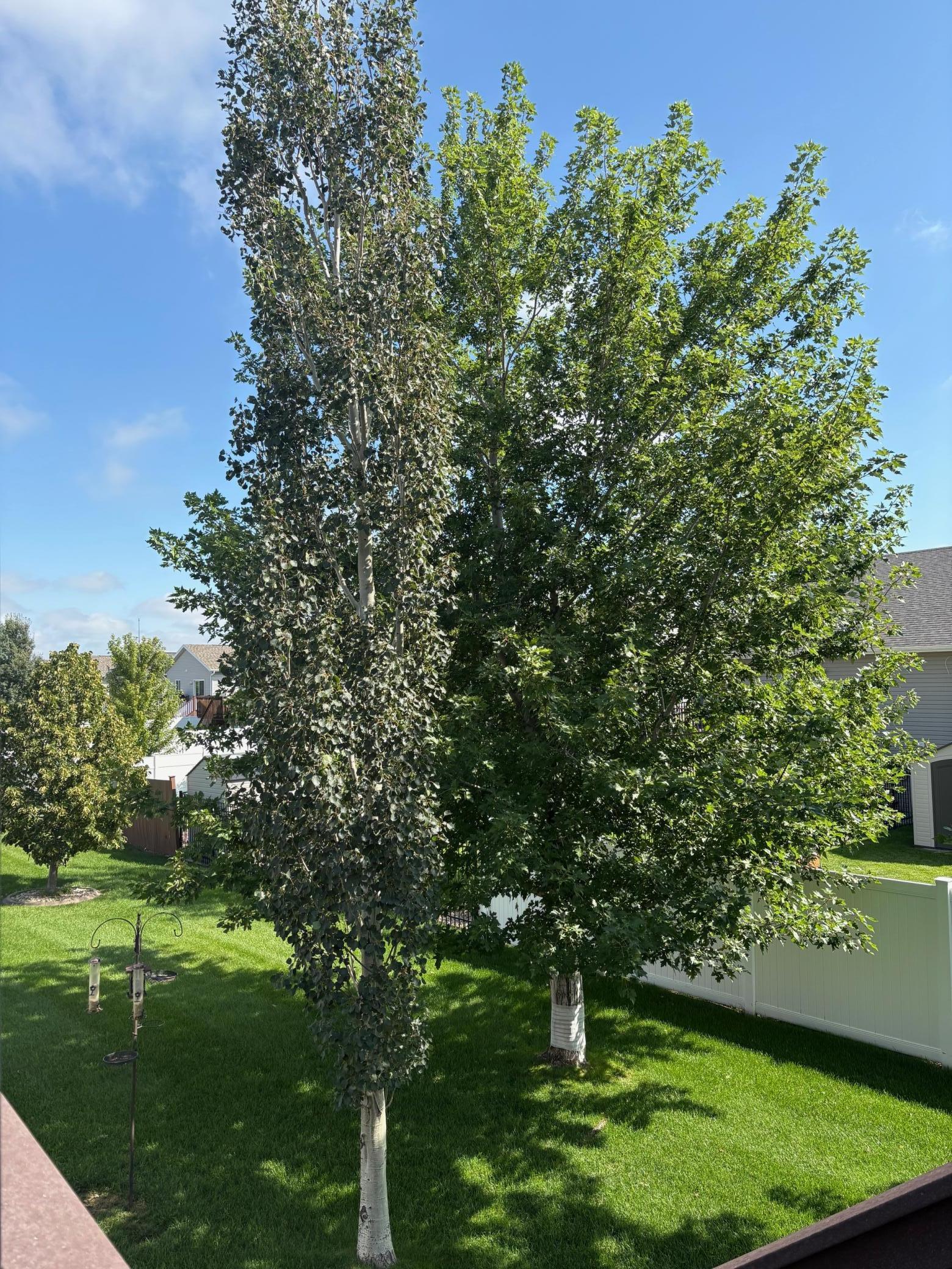 4788 Clock Tower Lane S, Fargo ND 58104 - Photo 44 of 57