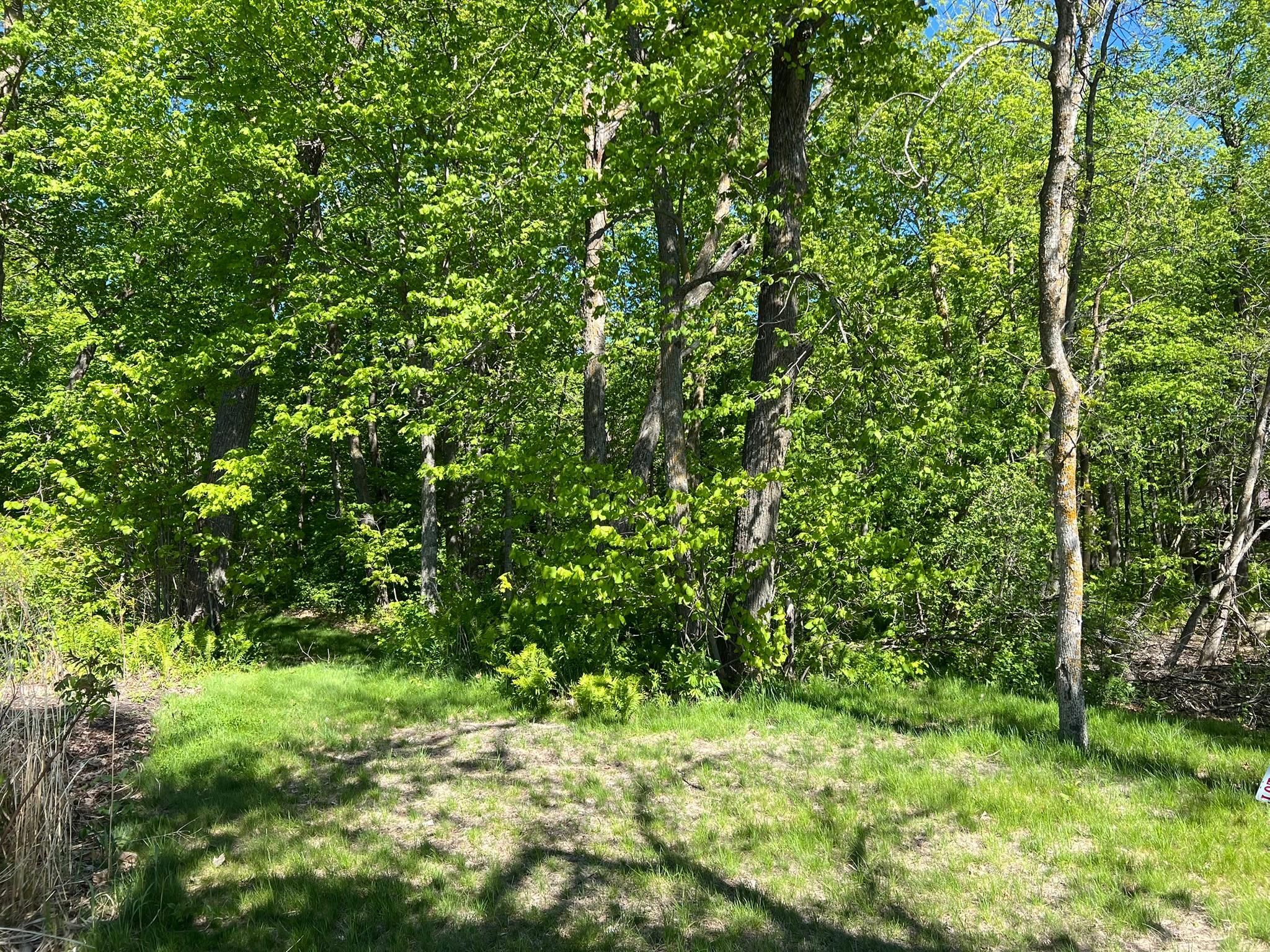 TBD Camper Landing Road NW, Cass Lake MN 56633 - Photo 7 of 11