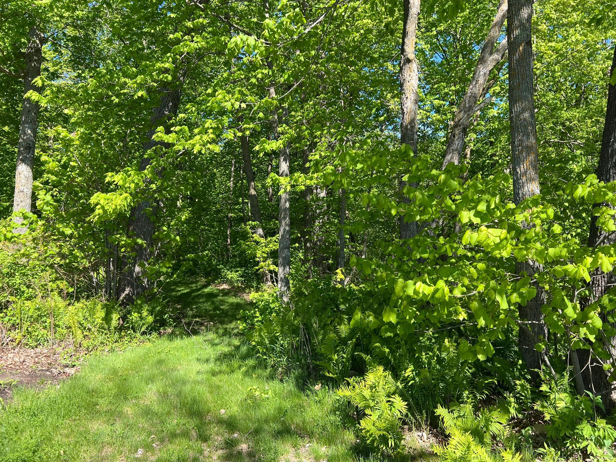 TBD Camper Landing Road NW, Cass Lake MN 56633 - Photo 8 of 11